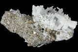 Bargain, Quartz Crystal Cluster With Gleaming Pyrite - Peru #95944-2